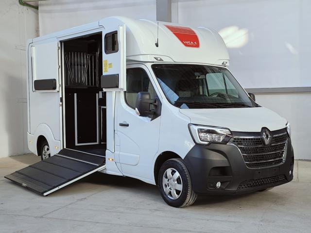 RENAULT Master T35 2.3 dCi 165 PL-TN Van Trasporto Cavalli