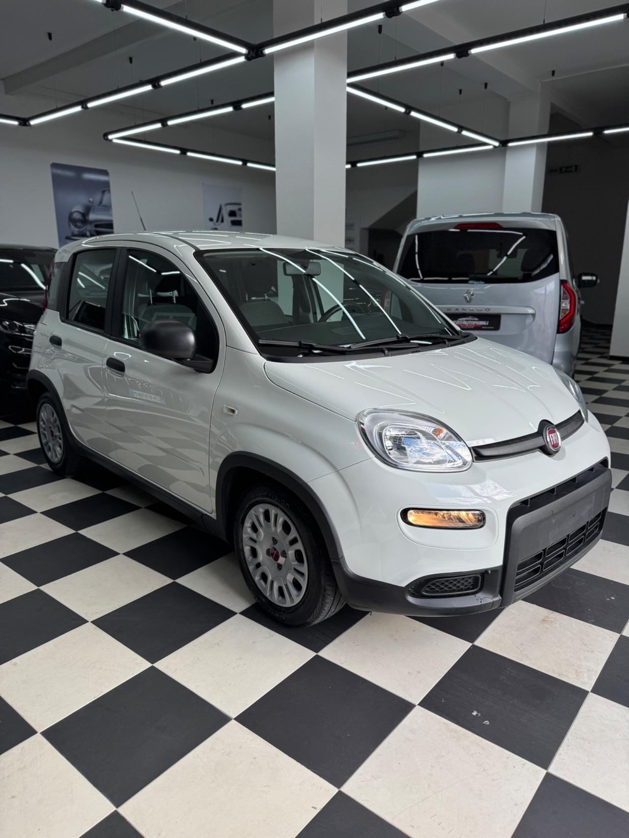 Fiat Panda 1.0 Hybrid City Life FINANZIABILE