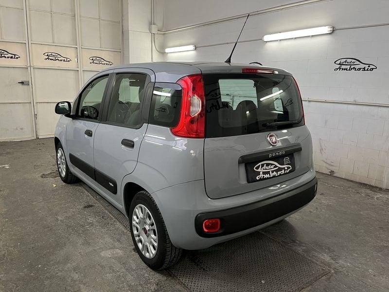 FIAT Panda Panda 1.2 tua da 109,00 al mese