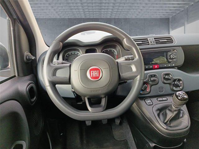FIAT Panda 3ª serie 1.0 FireFly S&S Hybrid
