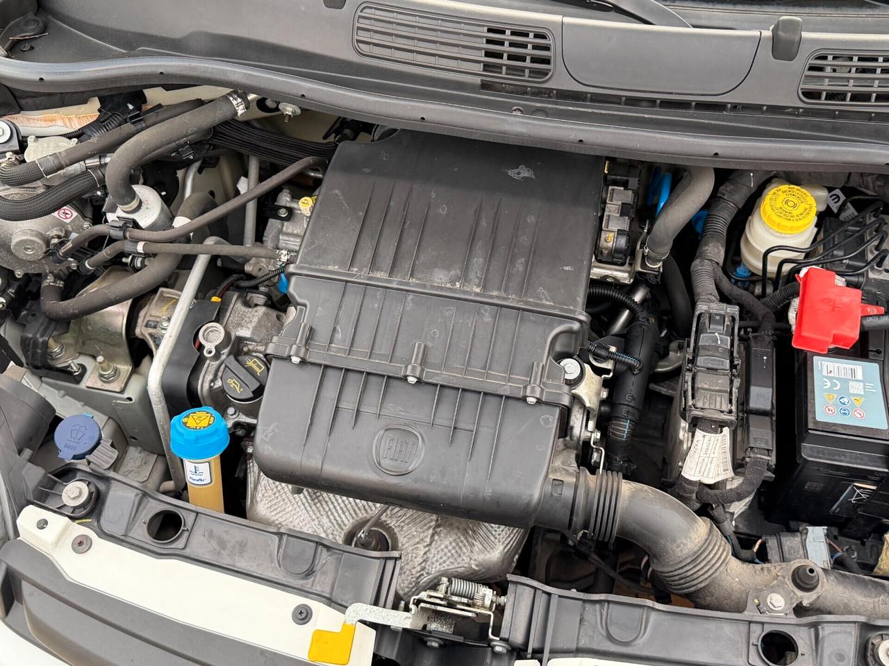 Fiat Panda New 1.2 69 cv. EasyPower EASY (Imp GPL)