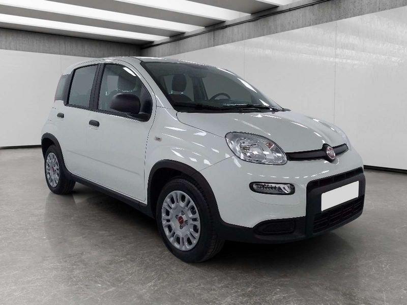 FIAT Panda 1.0 firefly hybrid s&s 70cv 5p.ti