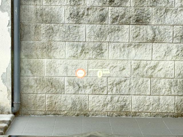 BMW X4 xDrive20d 48V Msport CON SOLI 7511 KM