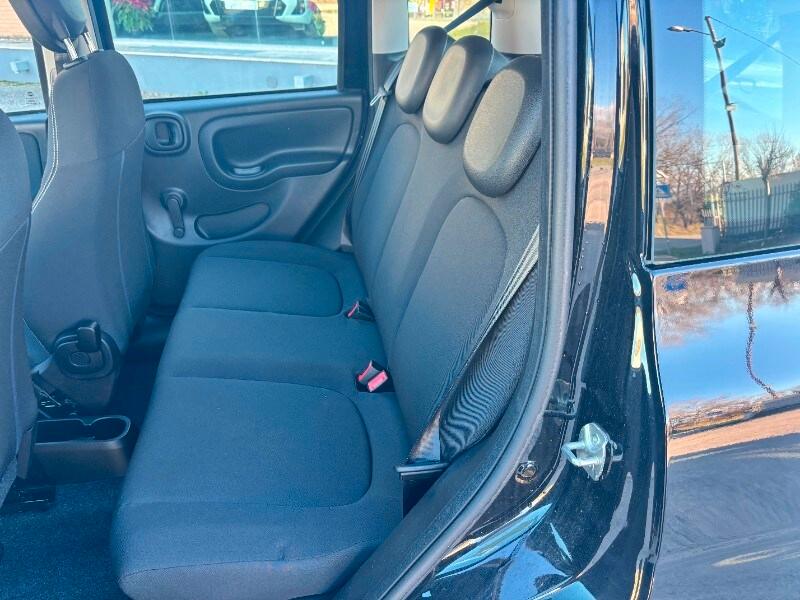 FIAT Panda 3ª serie Panda 1.0 FireFly S&S Hybrid