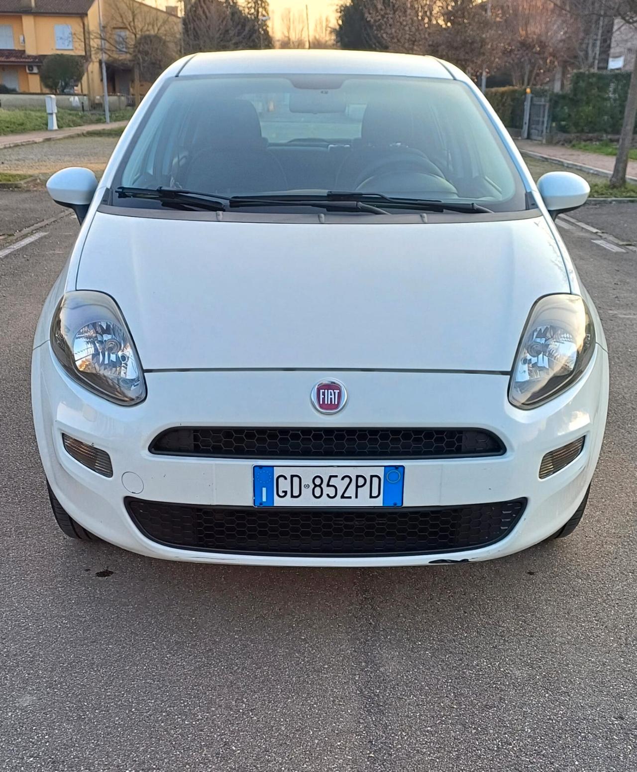 Fiat Punto Evo Punto Evo 1.4 5 porte Dynamic Natural Power