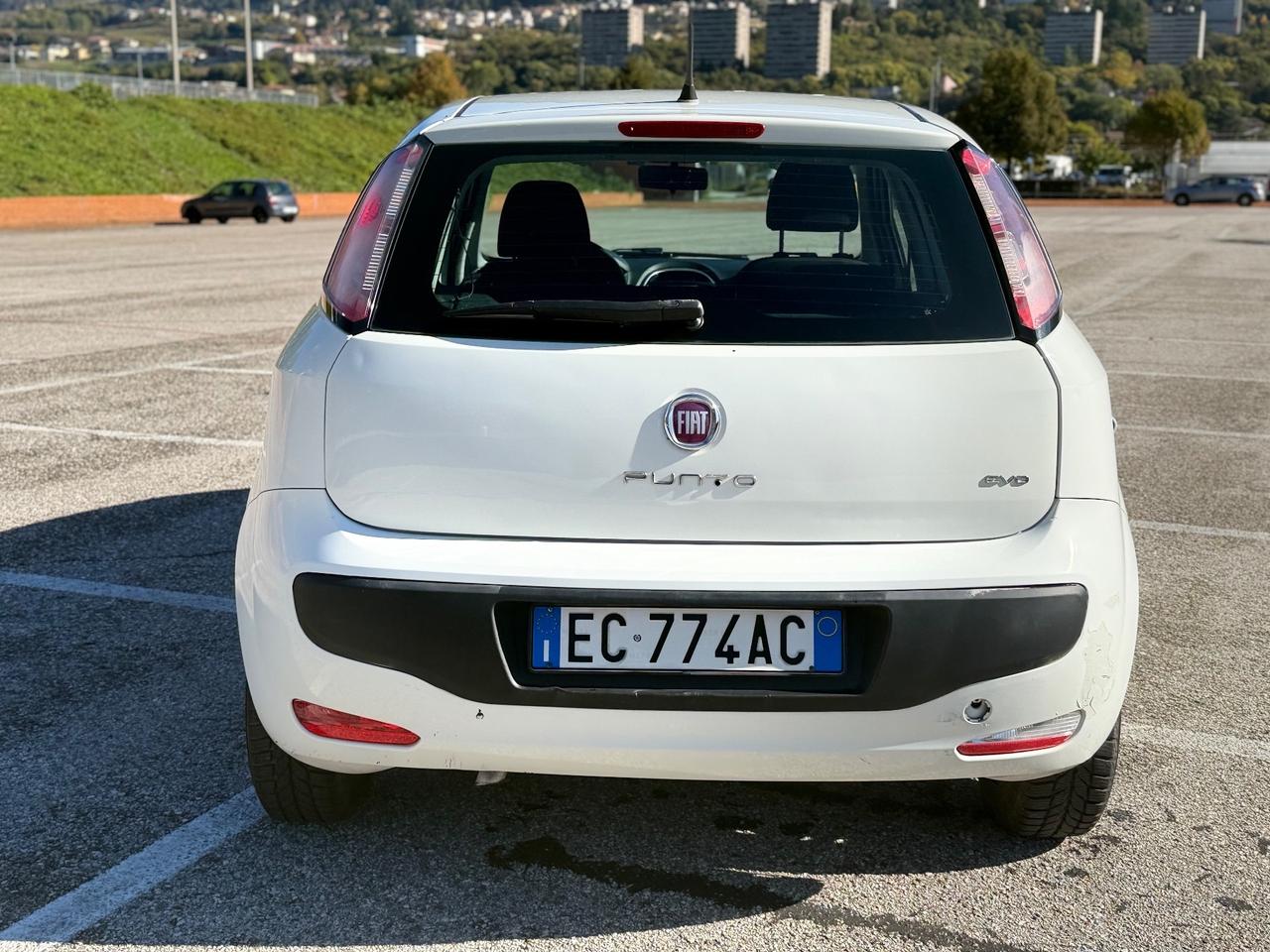 Fiat Punto Evo 1.4 5 porte Active OK NEOPATENTATI