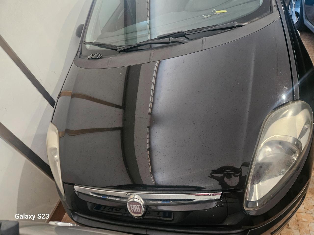 Fiat Punto Evo Punto Evo 1.4 5 porte Dynamic GPL