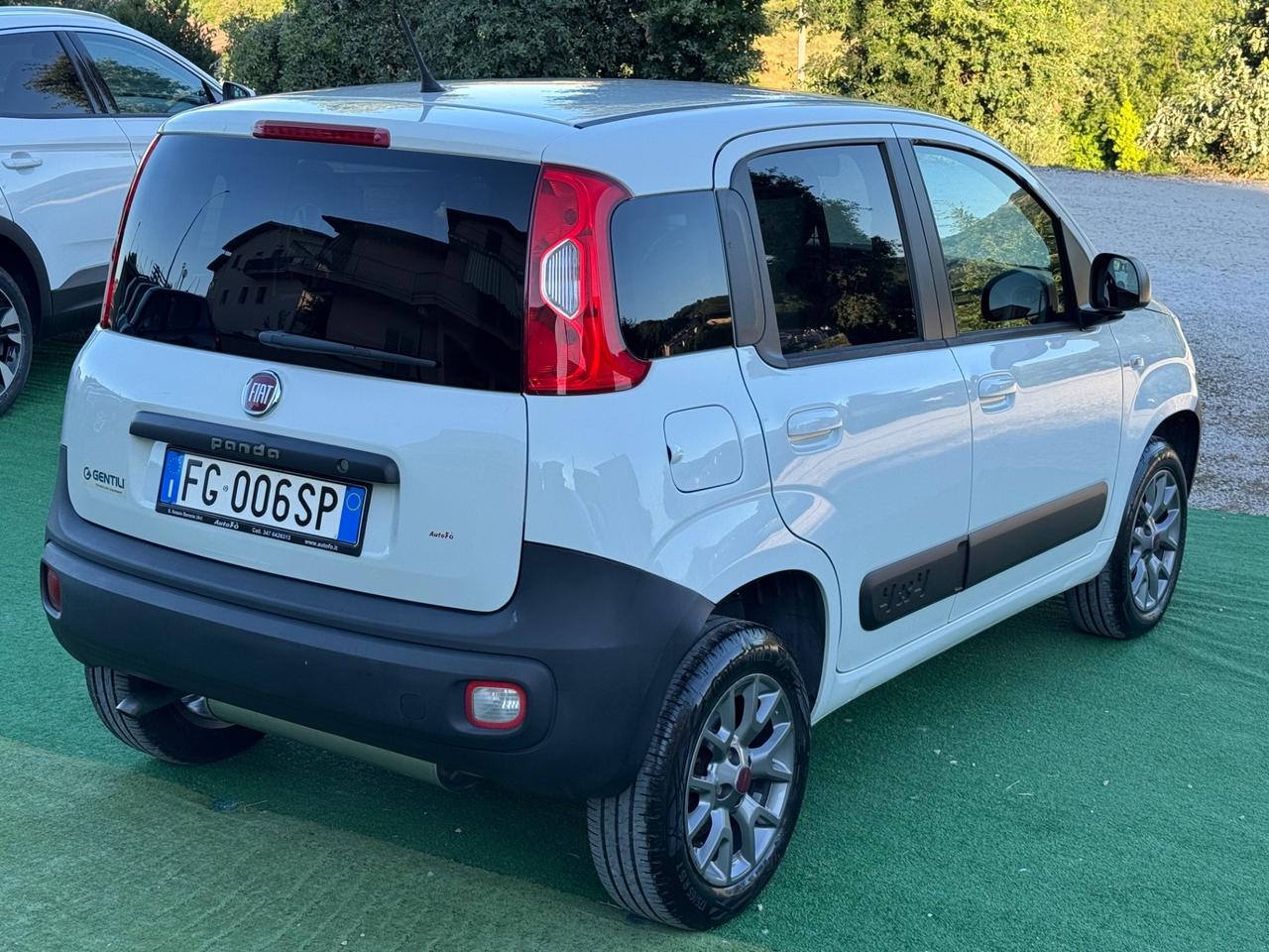 Fiat Panda 1.3 MJT 4x4 Van 2 posti
