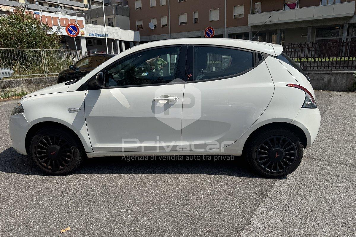 LANCIA Ypsilon 1.2 69 CV 5 porte GPL Ecochic Elefantino