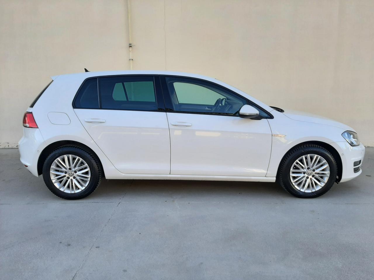 Volkswagen Golf 1.6 TDI 110 CV 5p. CUP BlueMotion Technology