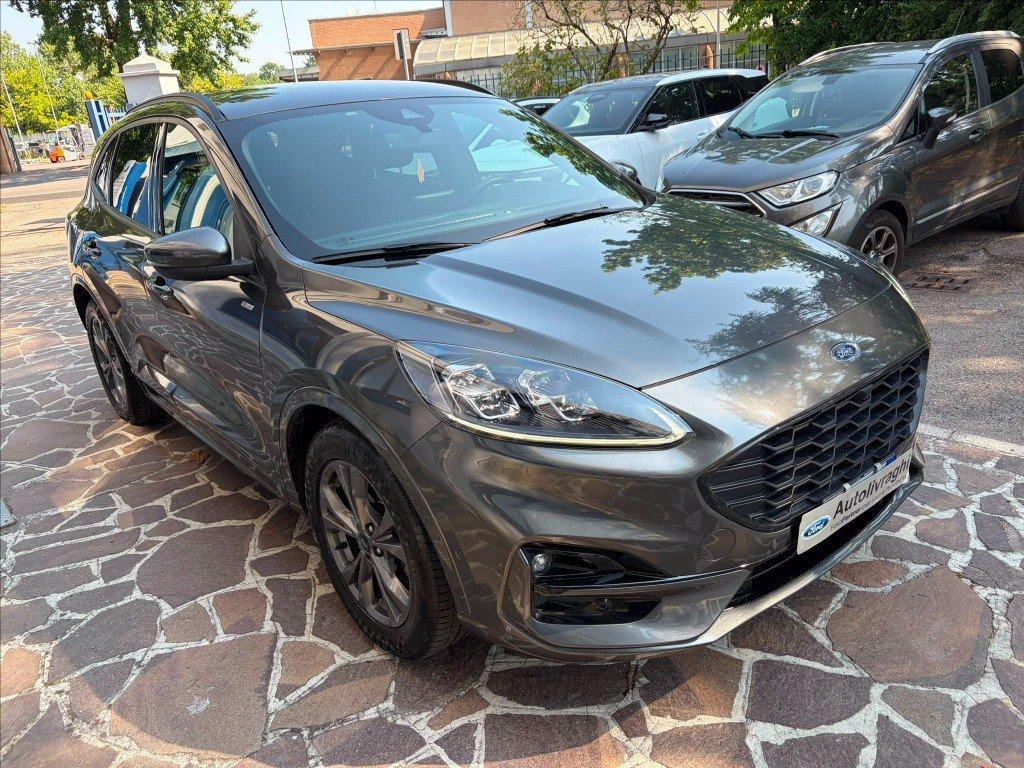 FORD Kuga 1.5 ecoblue ST-Line X 2wd 120cv auto del 2023