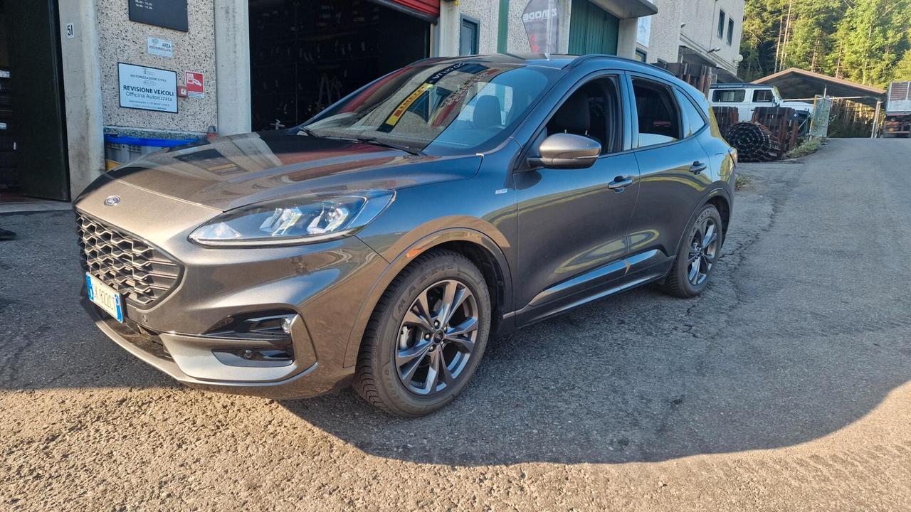 Ford Kuga 1.5 EcoBlue 120 CV 2WD ST-Line