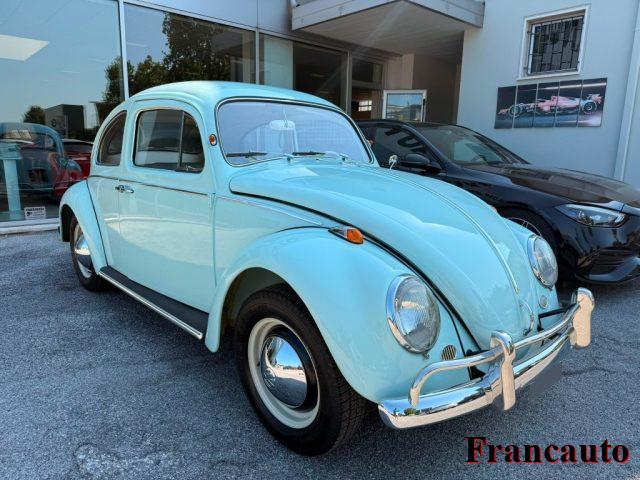 VOLKSWAGEN Maggiolino maggiolino