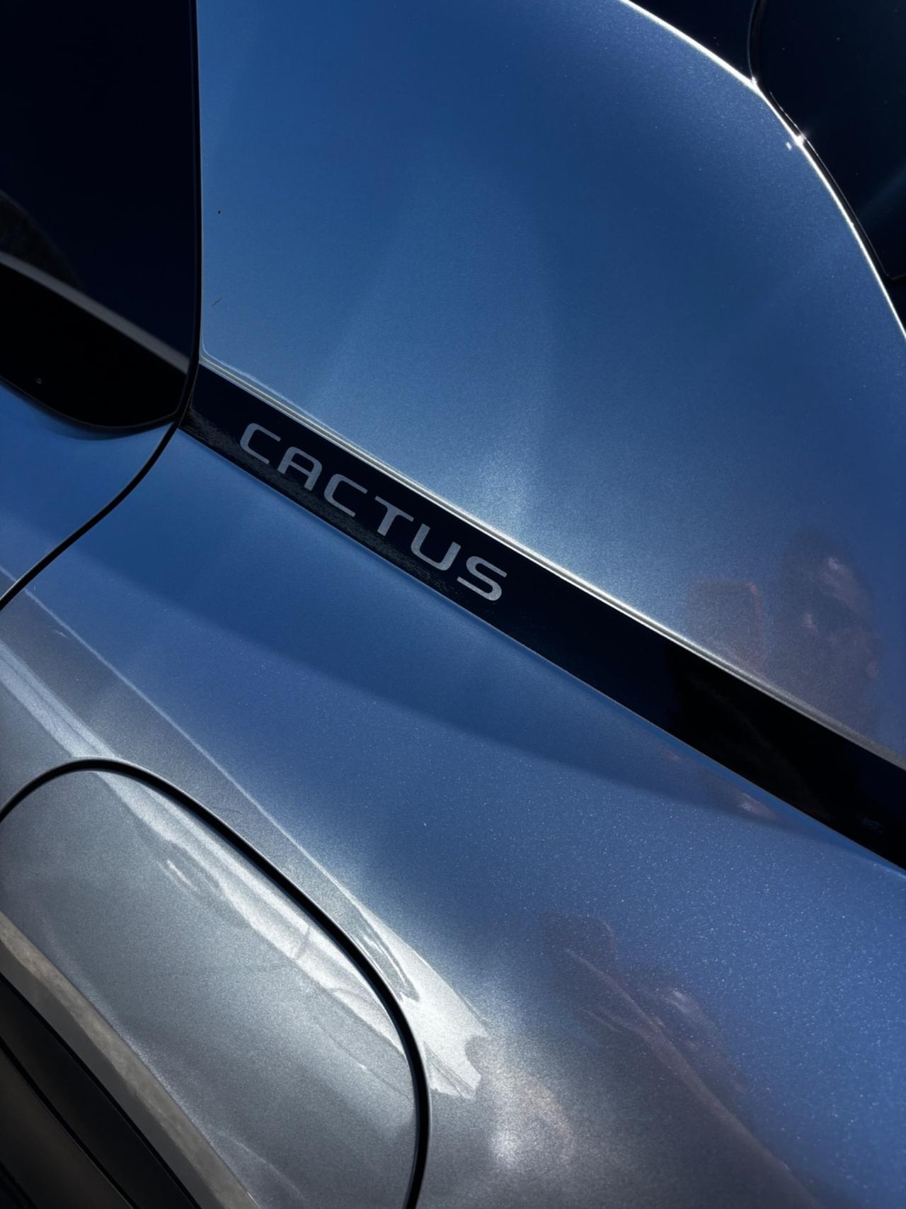 Citroen C4 Cactus BlueHDi 100 S&S Shine