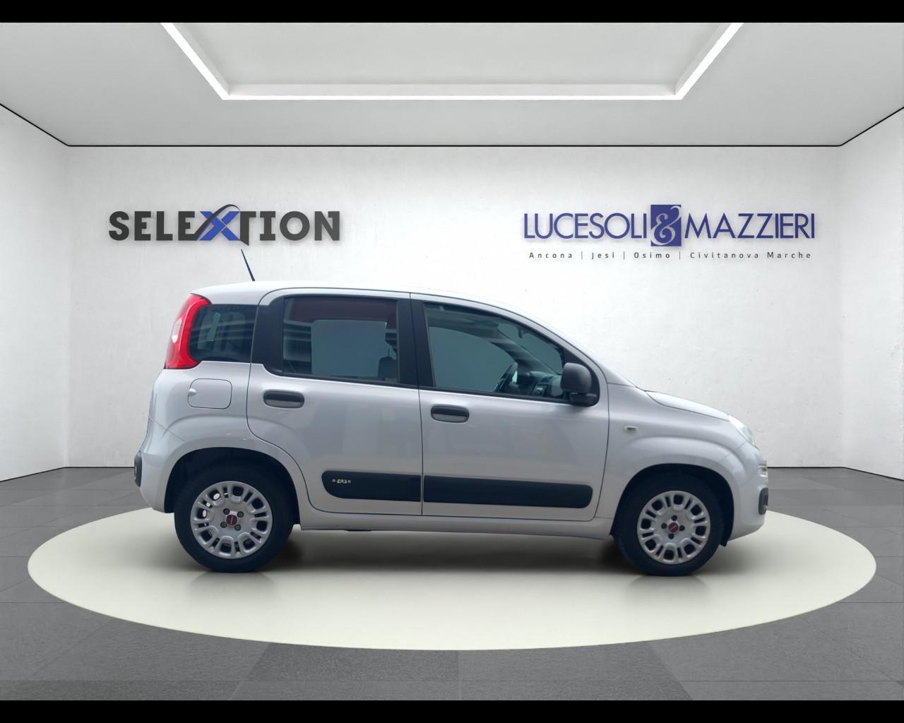 FIAT PANDA - Panda 1.0 FireFly S&S Hybrid Easy