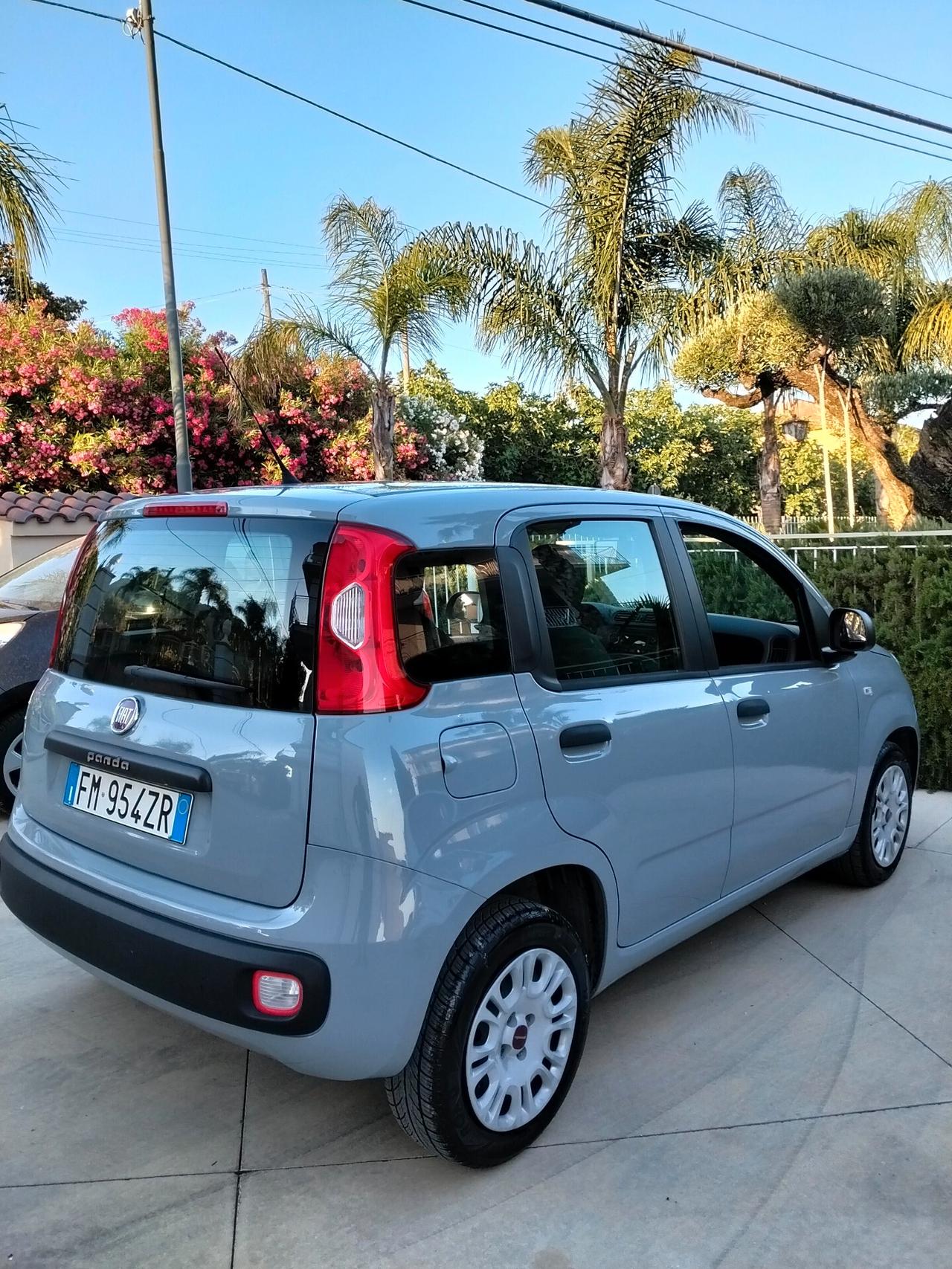 Fiat Panda 1.2 Easy