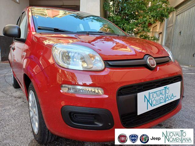FIAT Panda 1.0 FireFly S&S Hybrid Icon 5°Posto Auto Nuova