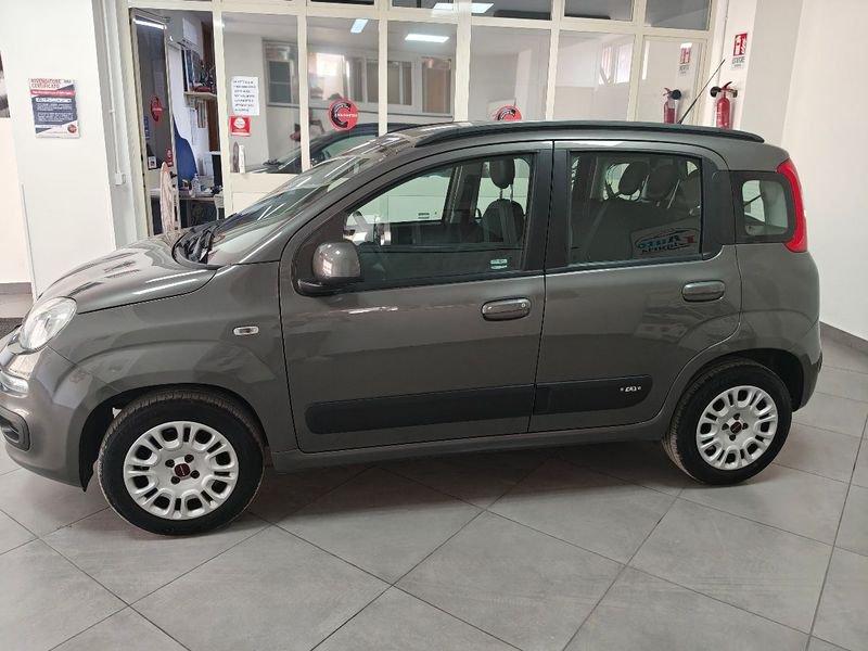 FIAT Panda Panda 1.2 Easy 5 POSTI