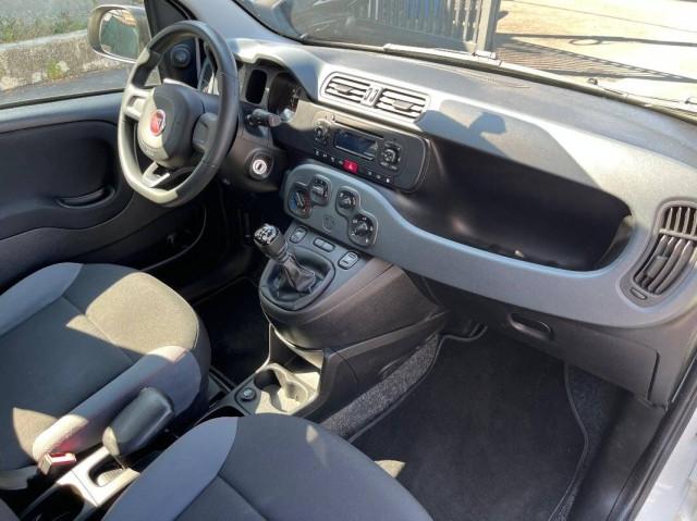 Fiat Panda 1.2 Easy easypower Gpl 69cv my19