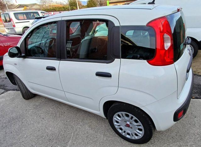 FIAT Panda 1.2 GARANZIA POCHI KM