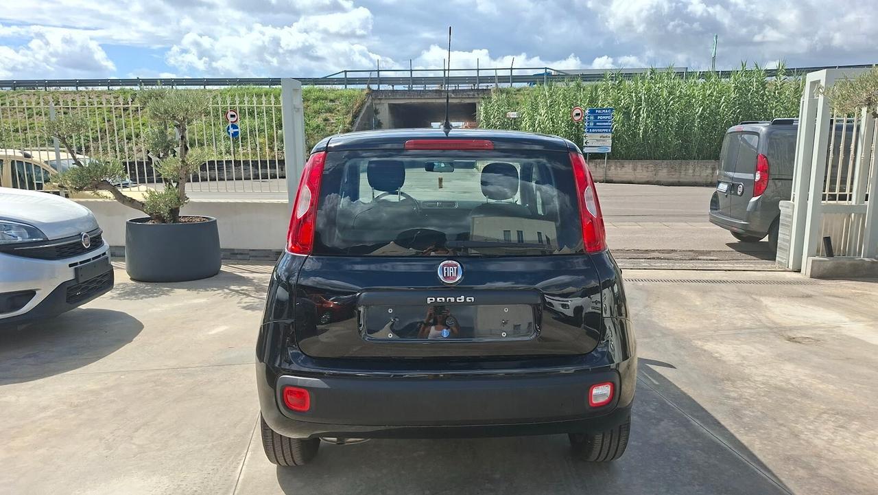 Fiat Panda 1.2 BENZINA 2019