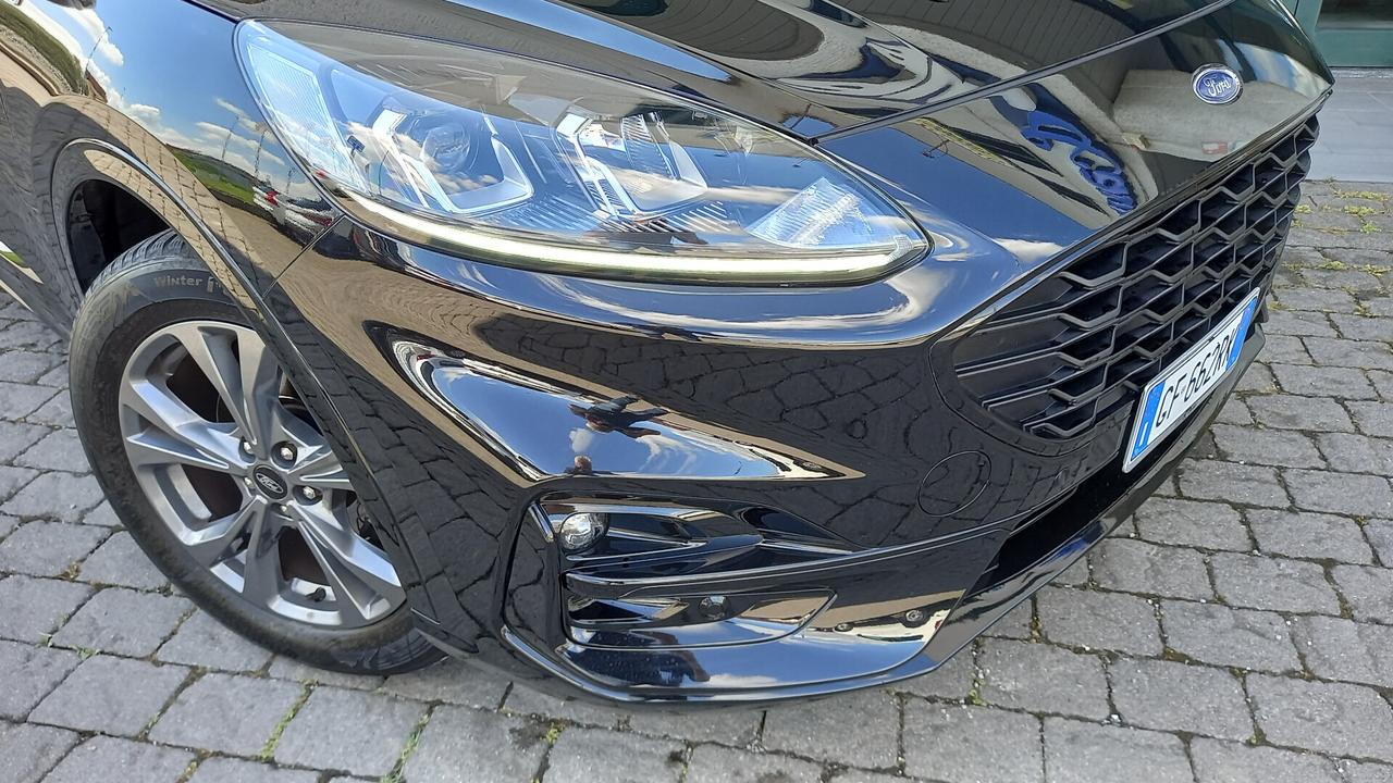 Ford Kuga 1.5 EcoBlue 120 CV aut. 2WD ST-Line