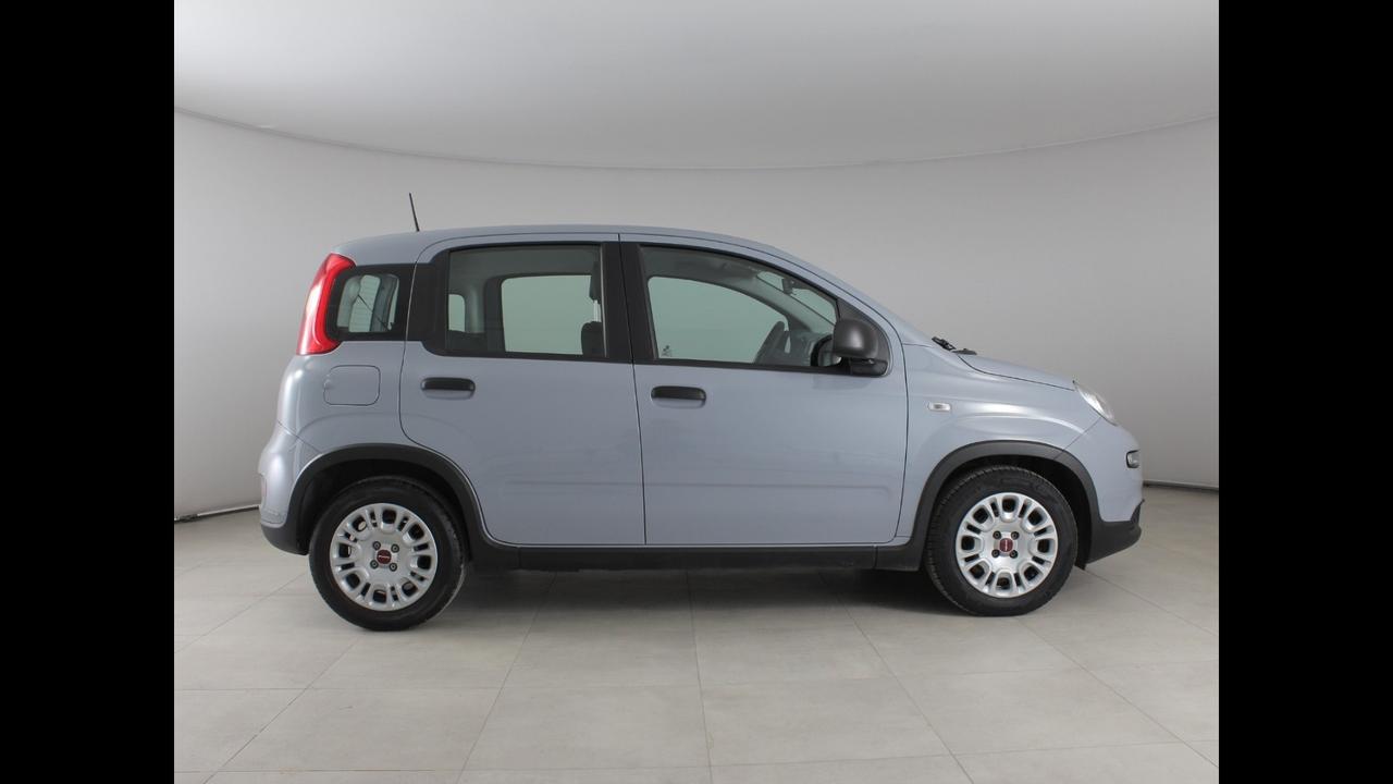 FIAT Panda III 2021 - Panda 1.0 firefly hybrid s&s 70cv