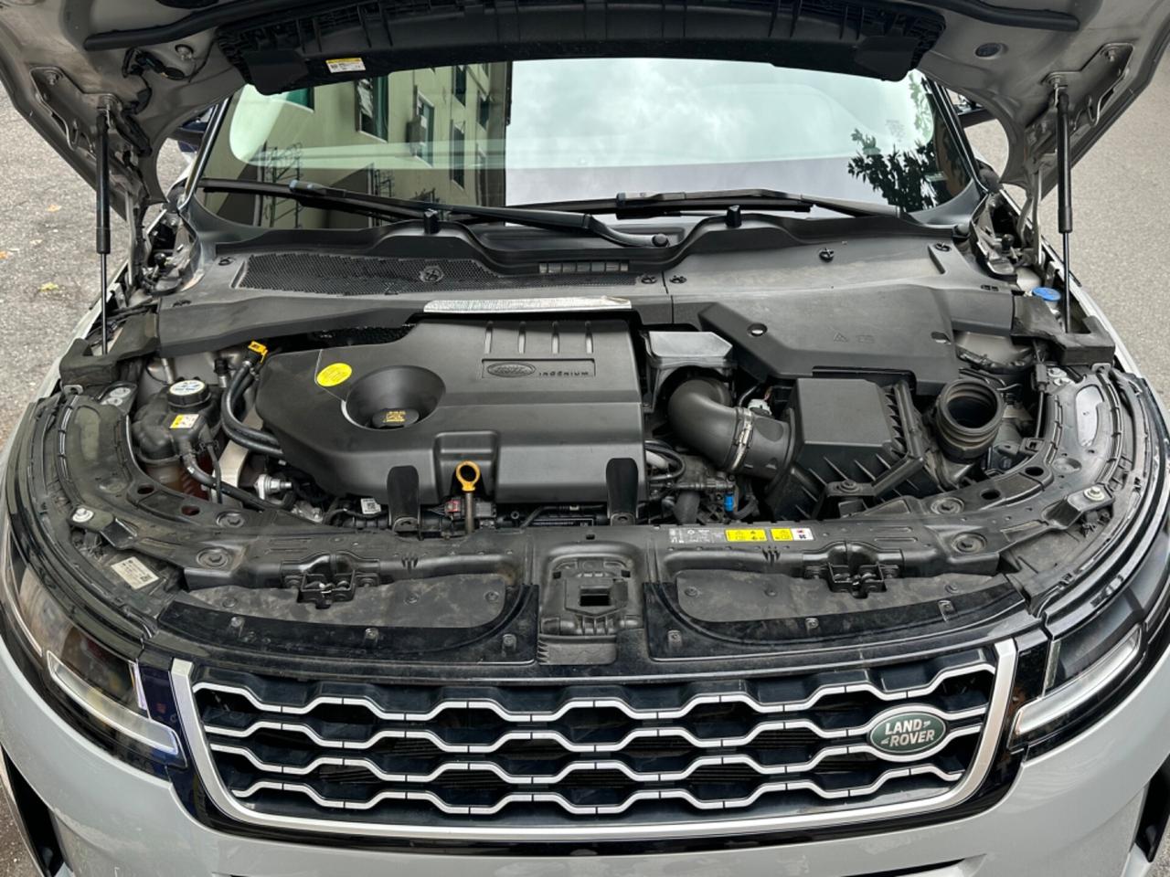 Range Rover Evoque (IBRIDA) 12 mesi garanzia