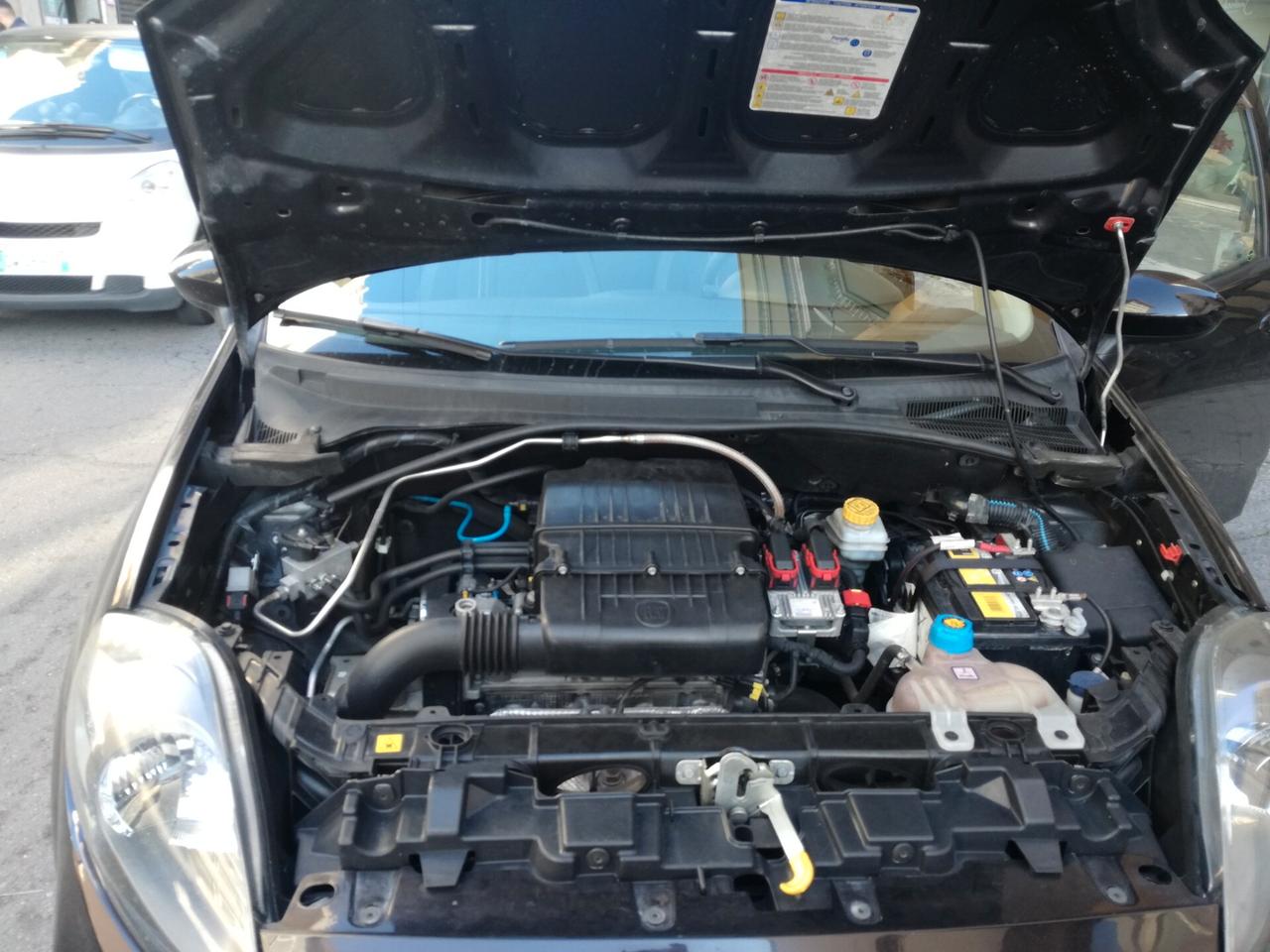 Fiat Punto 1.4 8V 5 porte Natural Power Lounge