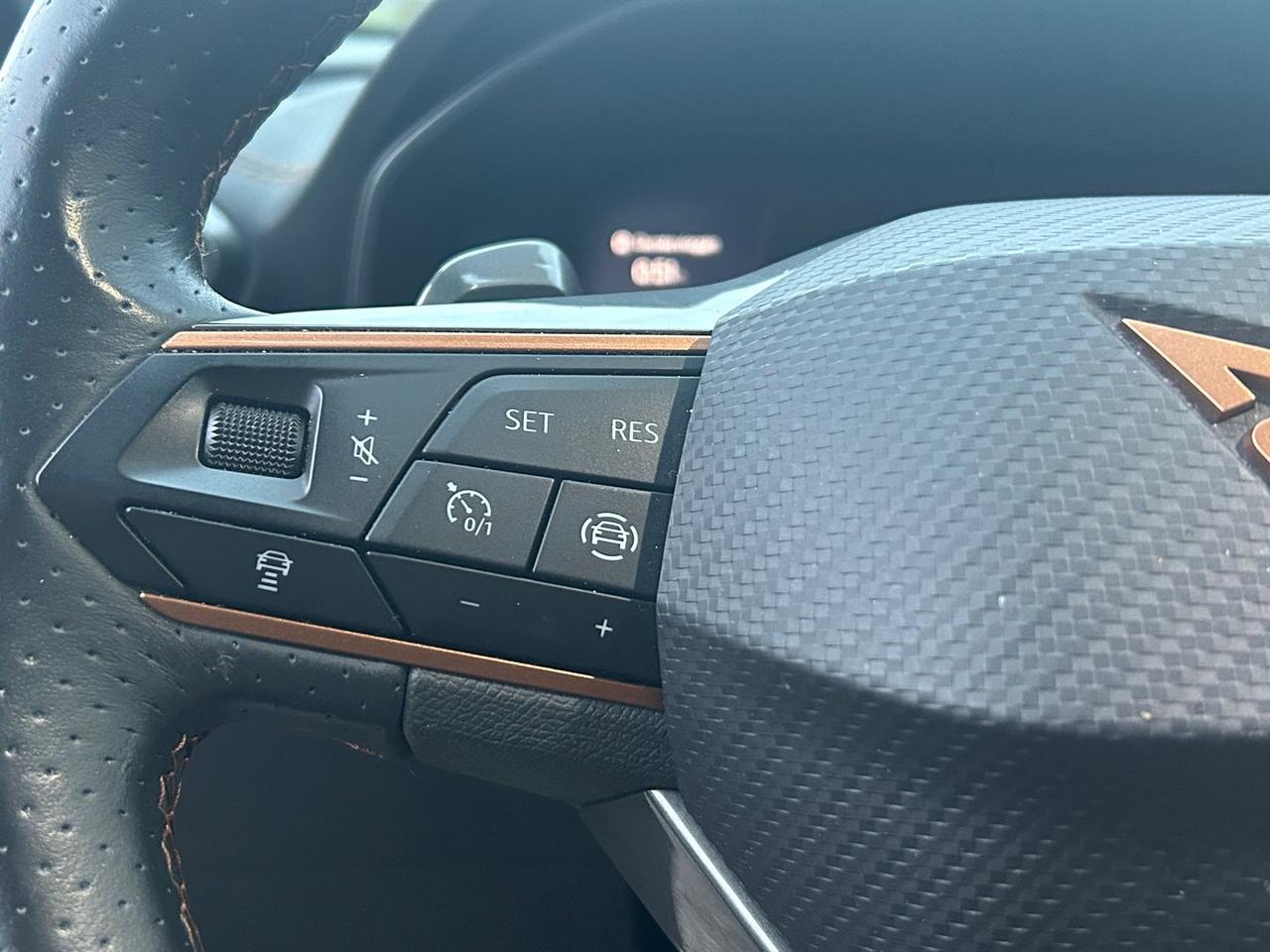 Cupra Formentor 1.4 E-HIBRID #9921