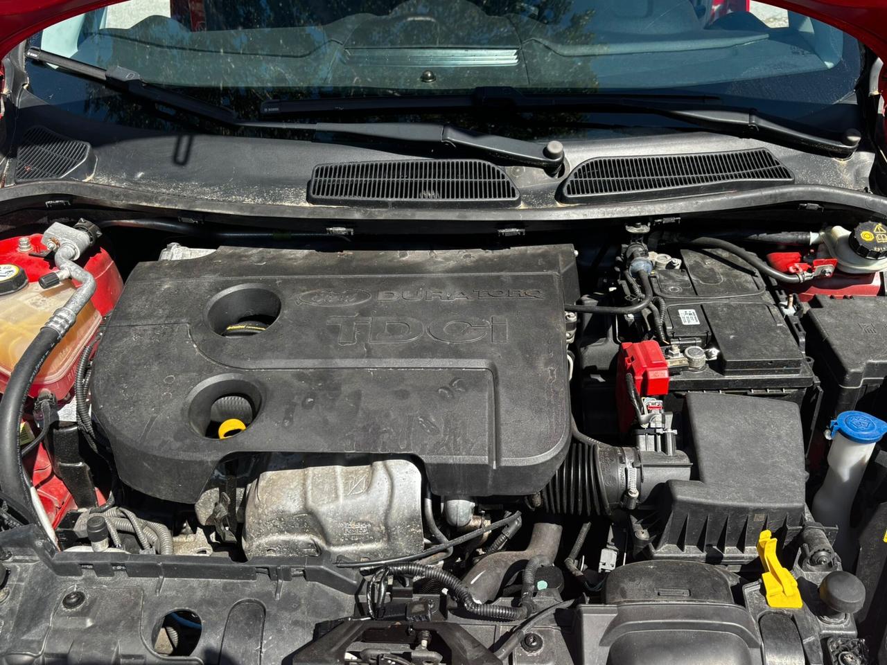 Ford Fiesta 1.5 TDCi 75CV 5 porte Titanium