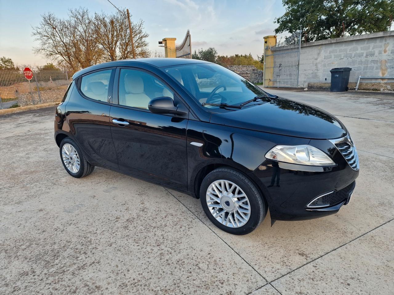 Lancia Ypsilon 1.2 69 CV 5 porte Platinum
