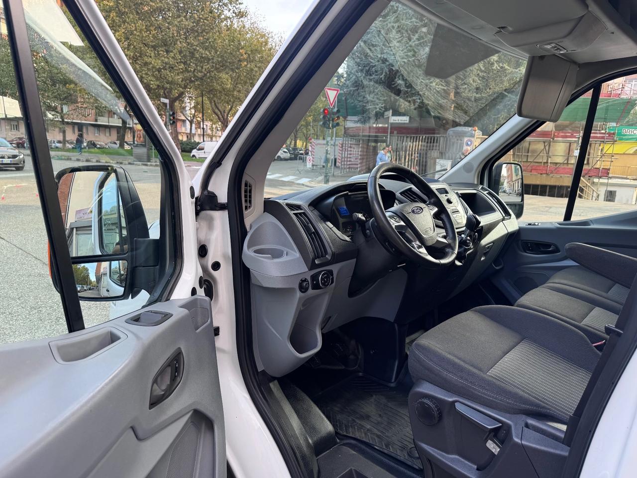Ford Transit 290 2.0TDCi EcoBlue PM-TM Furgone Trend