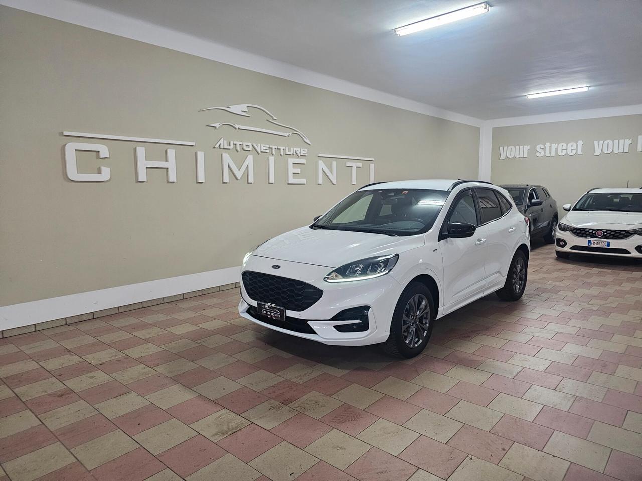 Ford Kuga 2.0 EcoBlue 120 CV aut. AWD ST-Line