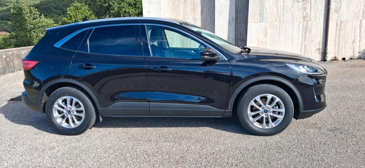 Ford Kuga 1.5 EcoBlue 120 CV 2WD Titanium