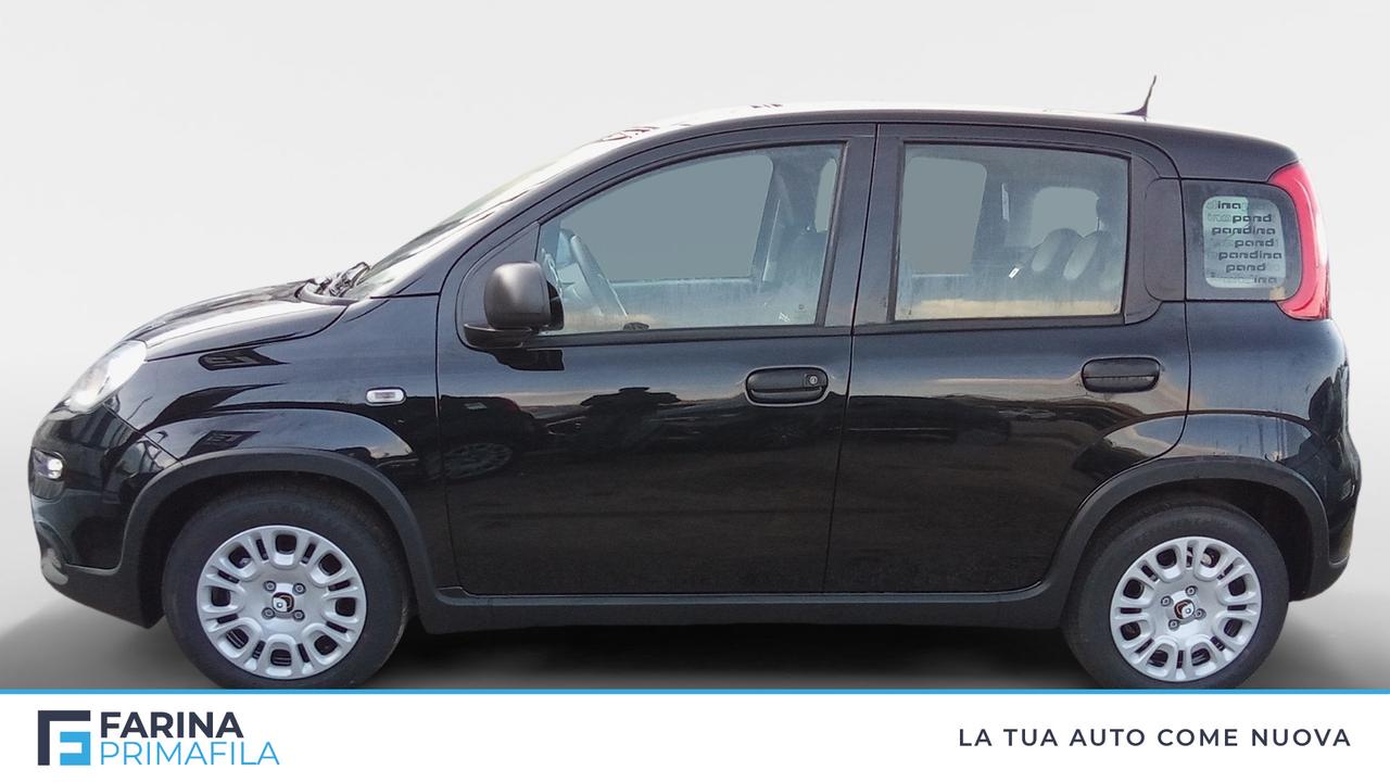 FIAT Panda 1.0 70cv Hybrid Panda