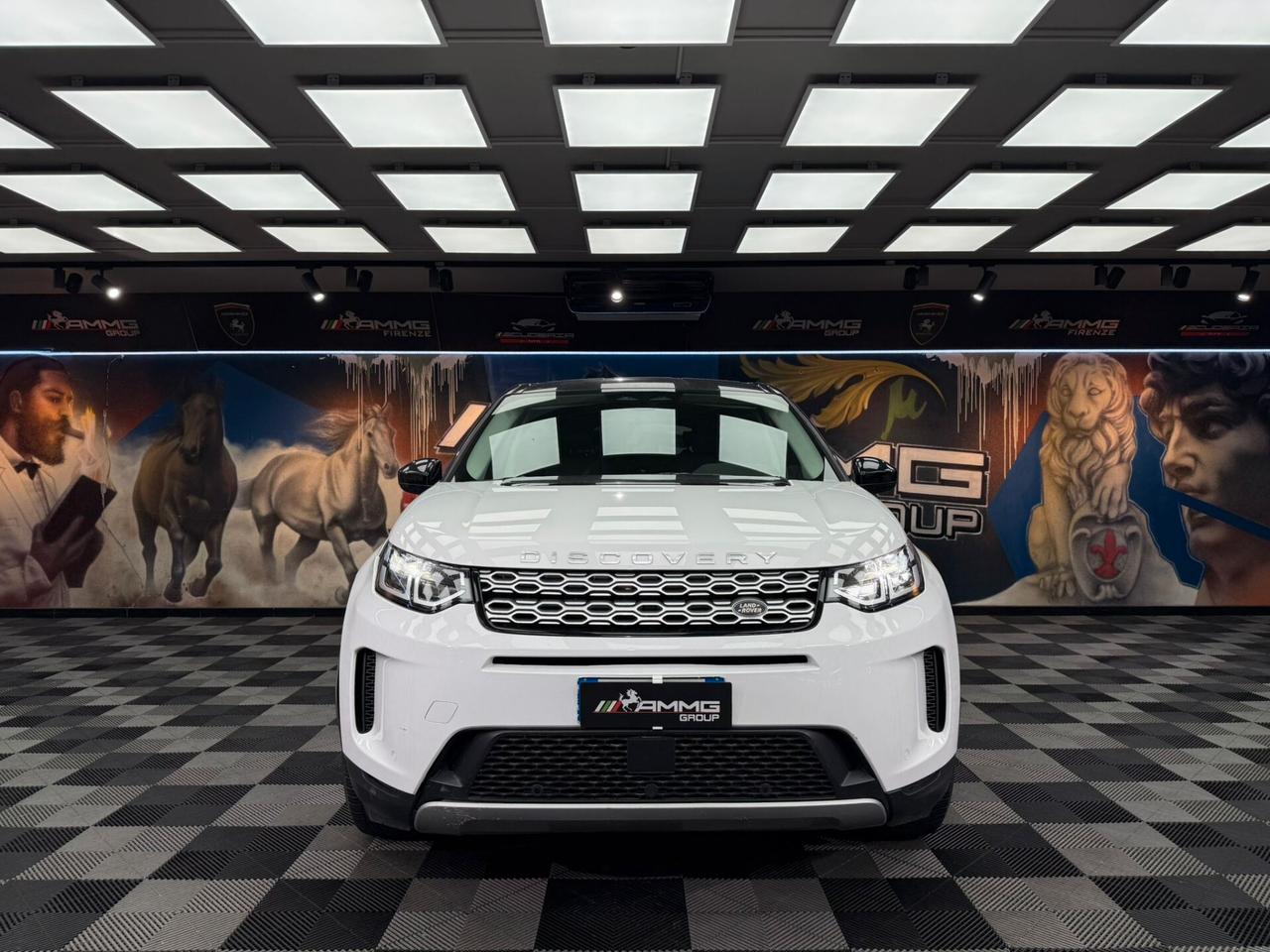 Land Rover Discovery Sport 2.0 TD4 163 CV AWD Auto R-Dynamic HSE (528)