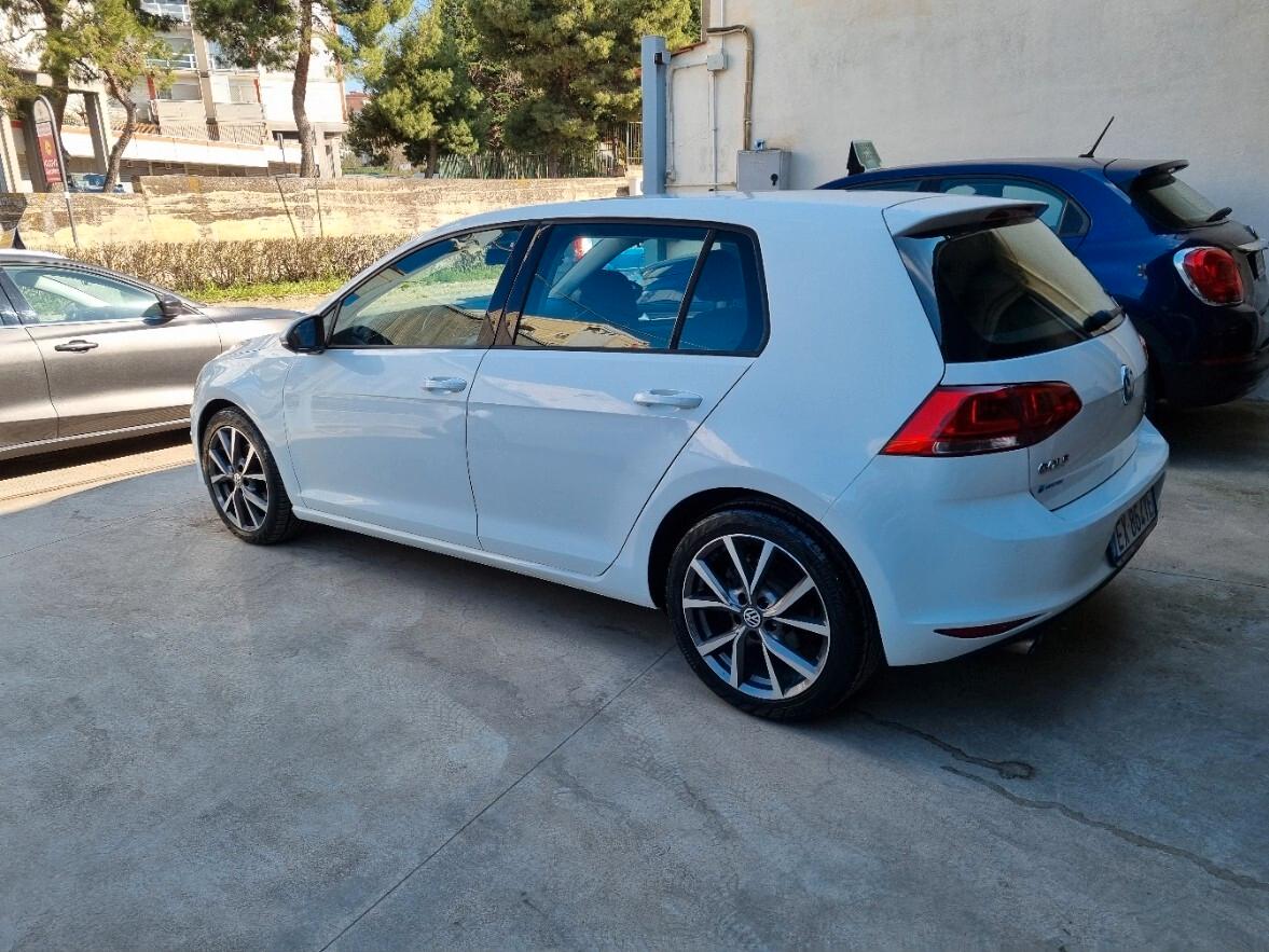 Volkswagen Golf 1.6 TDI 5p. Highline BlueMotion Technology