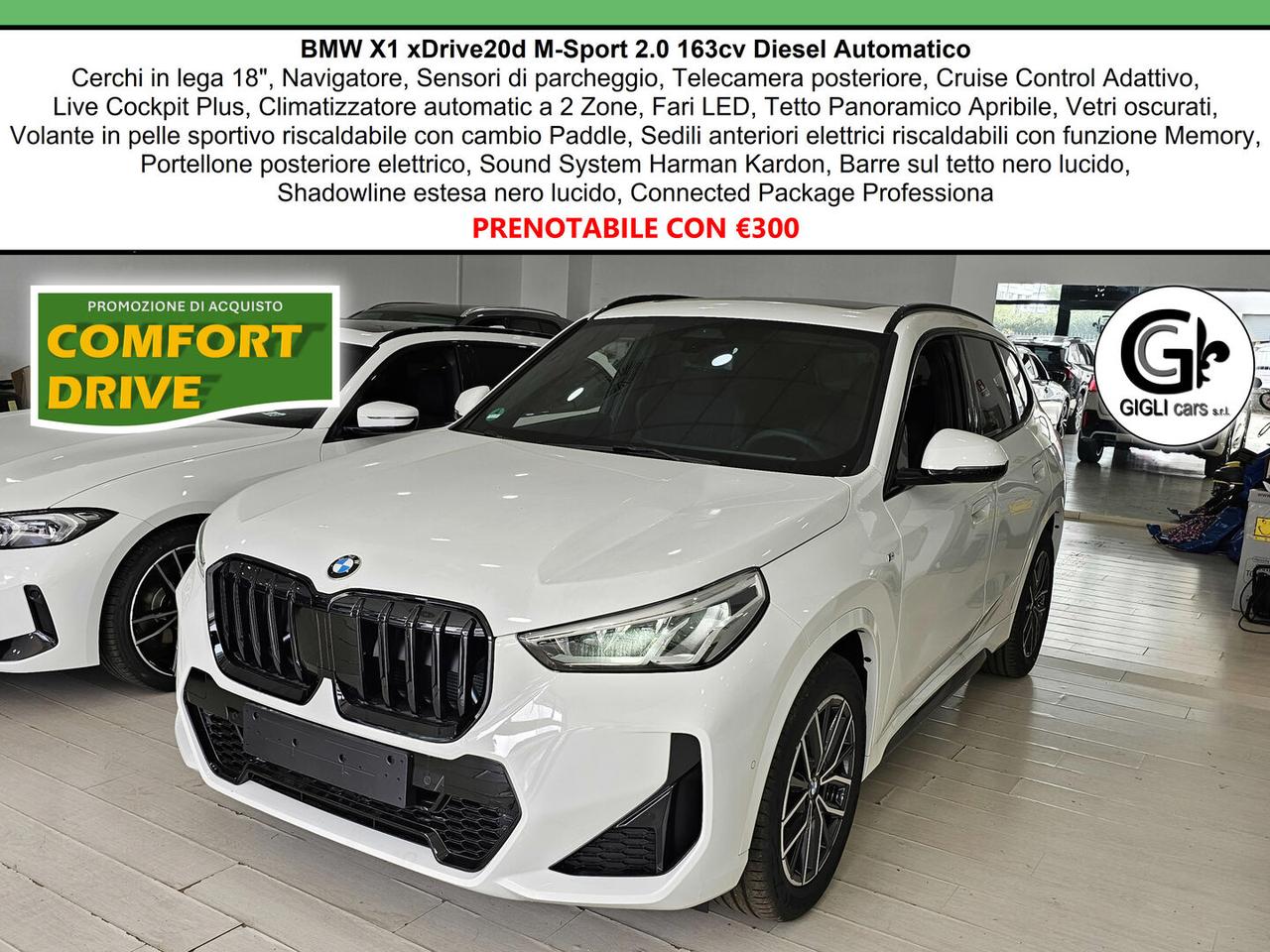 BMW X1 20d xDrive MSport Tetto Navi C.18" Cam M-Sport Nav