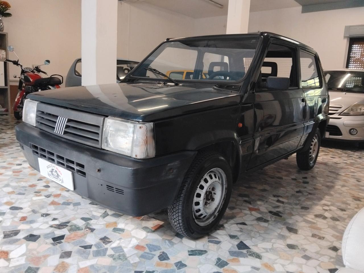 Fiat Panda 900 i.e. cat Young