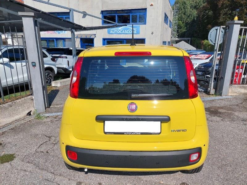 FIAT Panda 3ª serie Panda 1.0 FireFly S&S Hybr...