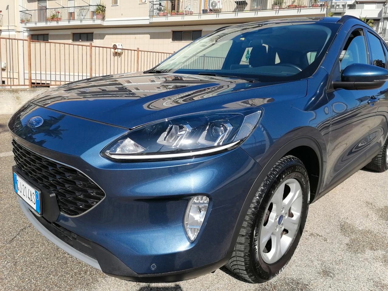 Ford Kuga 1.5 EcoBlue 120 CV 2WD Titanium 2022