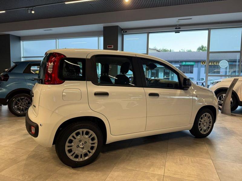 FIAT Pandina Pandina 5p 1.0 FireFly 65cv S&S 6m Hybrid Icon