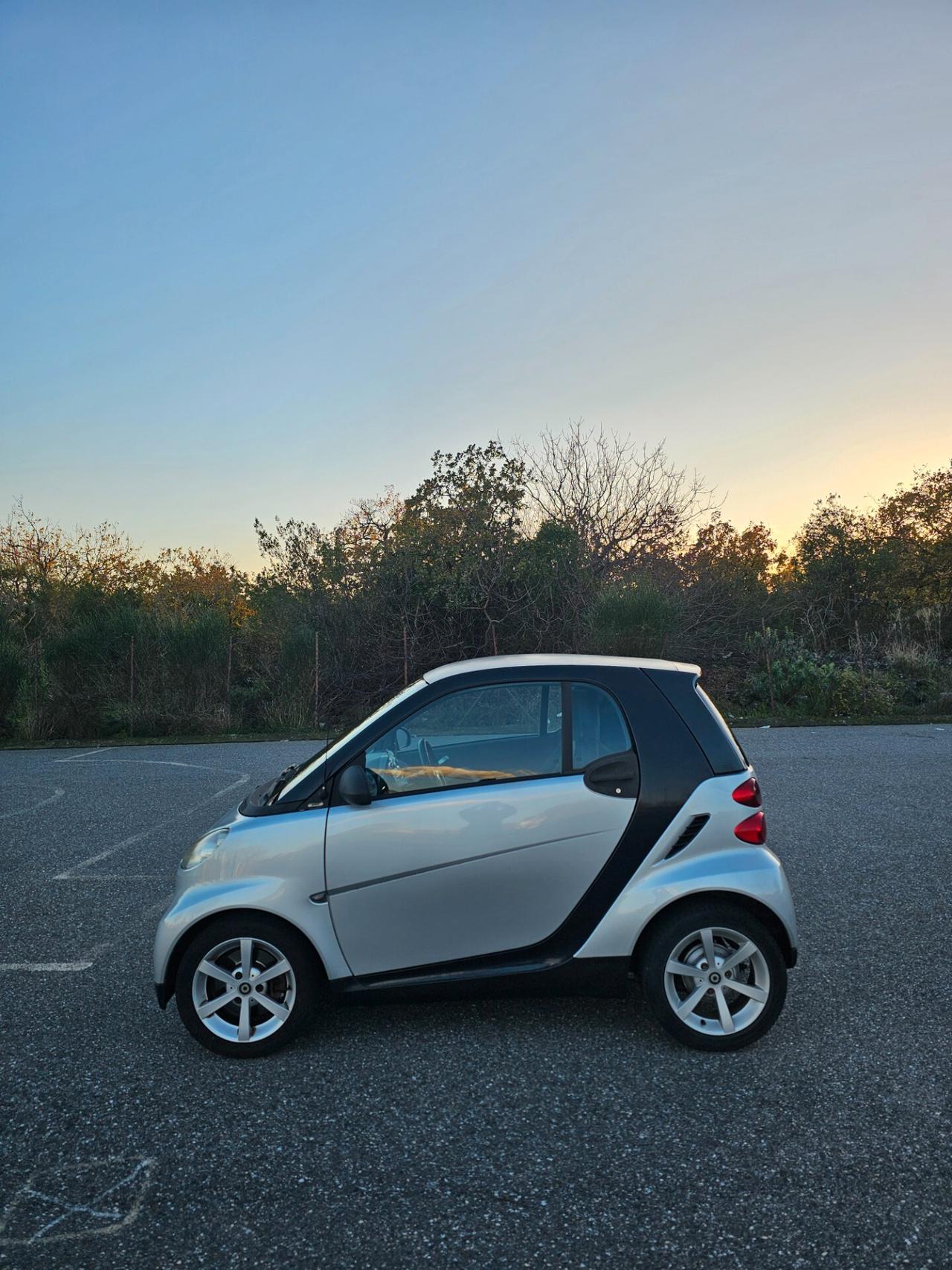 Smart ForTwo 800 diesel 45 cv palette al volante