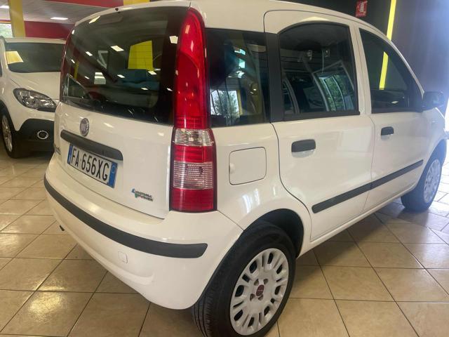 FIAT Panda 1.2 Climbing Natural Power