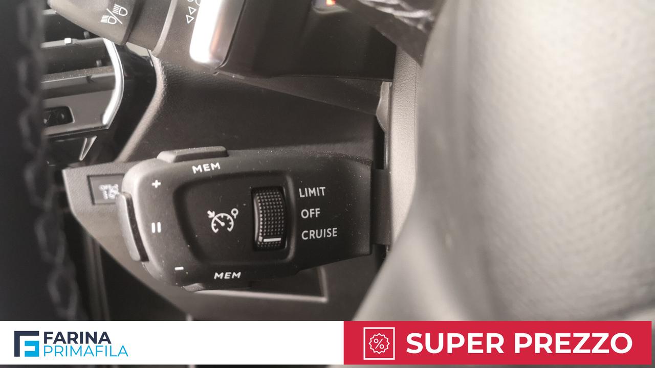 DS DS7 Crossback - DS7 Crossback 1.5 bluehdi Business 130cv auto