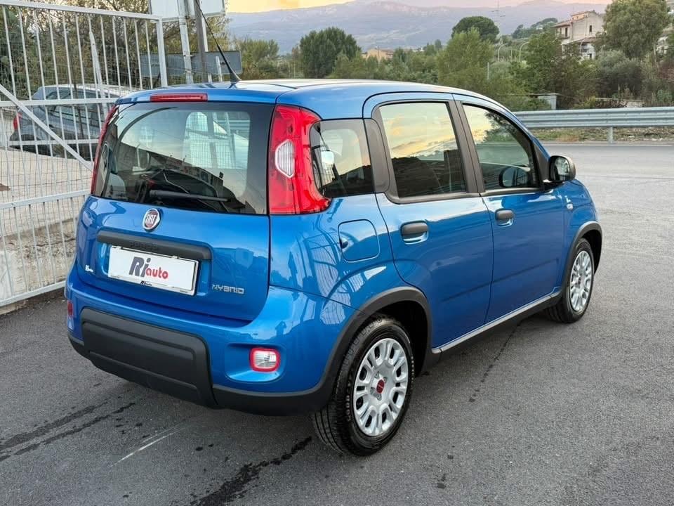 Fiat Panda 1.0 FireFly S&S Hybrid con 13.584 km