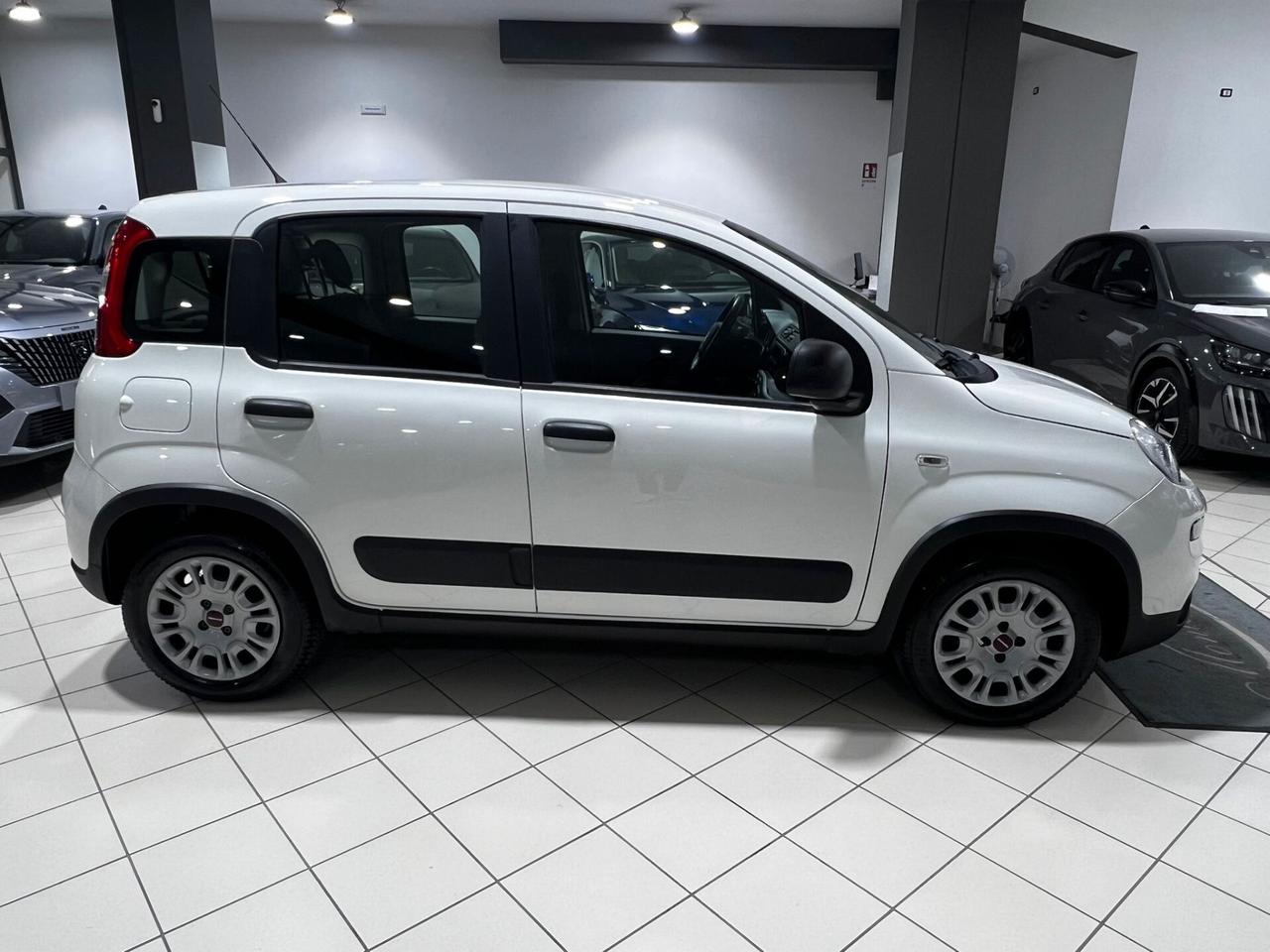 Fiat Panda 1.0 GSE S&S Hybrid Street Van 4 posti