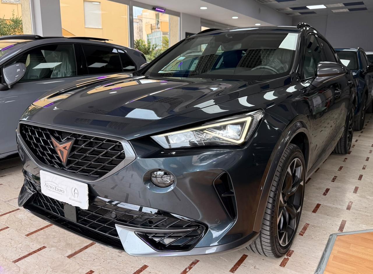 Cupra Formentor 2.0 TDI 150CV 4Drive DSG