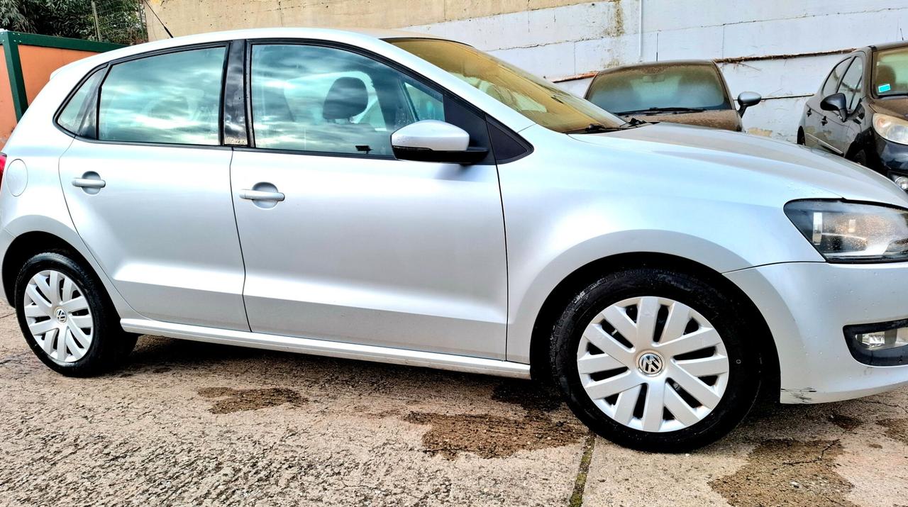Volkswagen Polo 1.6 TDI DPF 5 porte Comf. BlueMotion Technology